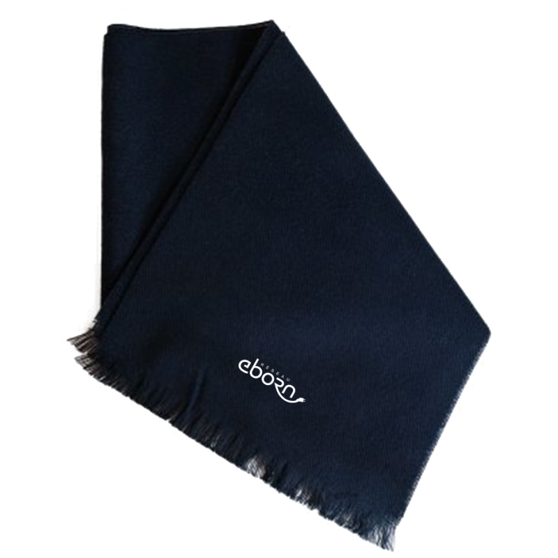 Echarpe Fabrication Française E Rallye Monte-Carlo – Réseau eborn E-Rallye Monte-Carlo