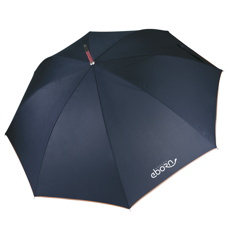 Parapluie E Rallye Monte-Carlo – Réseau eborn E-Rallye Monte-Carlo